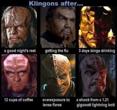 klingons after.jpg